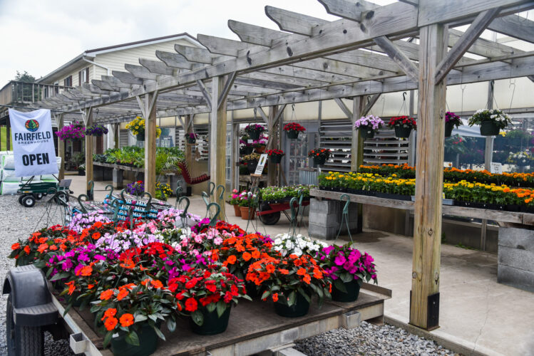 Fairfield Greenhouse a ‘dream’ come true for new owners News, Sports